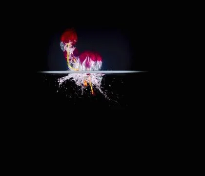 Fruit Splashing into water. Stock Photos