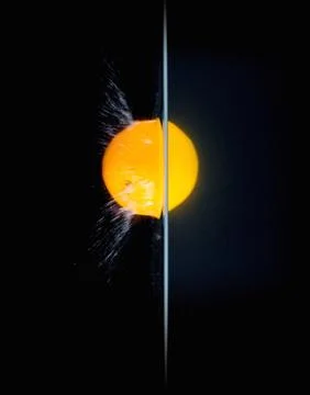 Fruit Splashing into water. Stock Photos