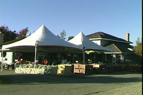 Fruit Stand Видео 817694