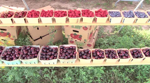 Fruit Stand Stock Footage 25157273