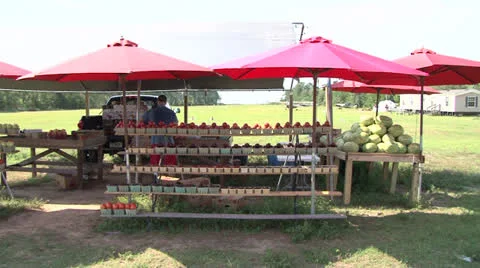 Fruit Stand Stock Footage 25157294