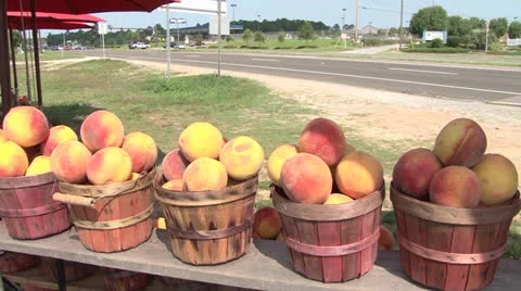 Fruit Stand Stock Footage 25157340