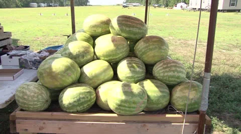 Fruit Stand Stock Footage 25157605