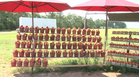 Fruit Stand Stock Footage 25158129