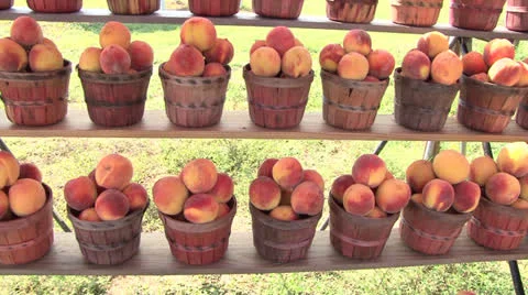 Fruit Stand Stock Footage 25158189
