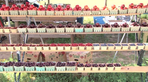 Fruit Stand Stock Footage 25158659