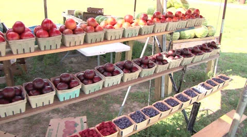 Fruit Stand Stock Footage 25158861