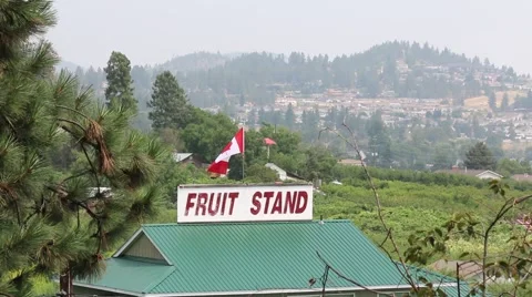 Fruit Stand Sign on Rooftop Stock Footage 52305648