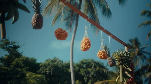 Fruit Stand in Tropical Setting 2 Stock Footage 307310803