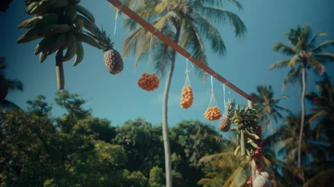 Fruit Stand in Tropical Setting Stock Footage 307311133