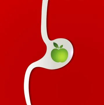 Fruit in the stomach Stock Illustration