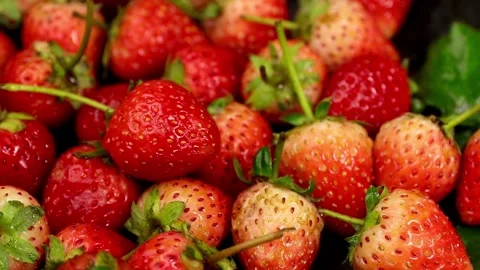 Fruit, Strawberries fruit, strawberry Stock Footage 228762710