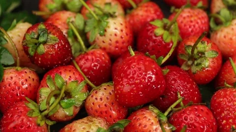 Fruit, Strawberries fruit, strawberry Video stock 228762711