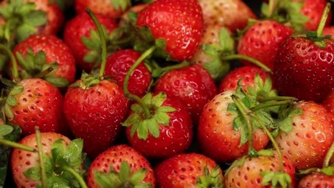 Fruit, Strawberries fruit, strawberry Video stock 228762712