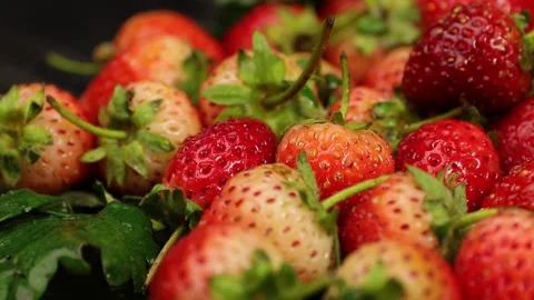 Fruit, Strawberries fruit, strawberry Stock Footage 228762717