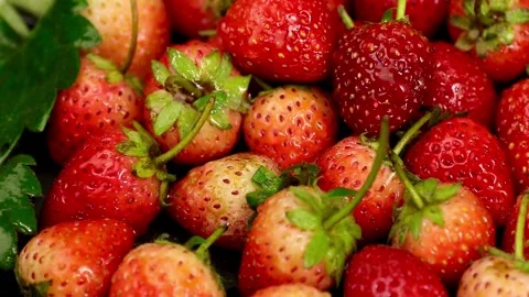Fruit, Strawberries fruit, strawberry Stock Footage 228762718