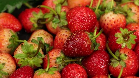 Fruit, Strawberries fruit, strawberry Stock Footage 228762720
