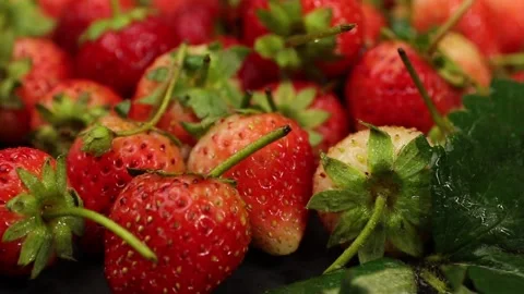 Fruit, Strawberries fruit, strawberry Stock Footage 228762722