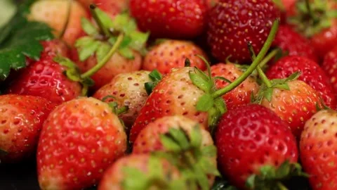Fruit, Strawberries fruit, strawberry Stock Footage 228762723