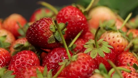 Fruit, Strawberries fruit, strawberry Stock Footage 228762725