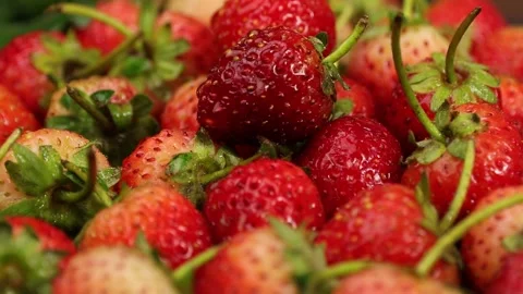 Fruit, Strawberries fruit, strawberry Stock Footage 228762728