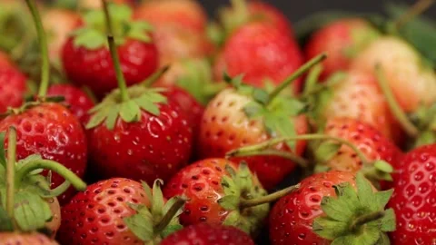 Fruit, Strawberries fruit, strawberry Stock Footage 228762731