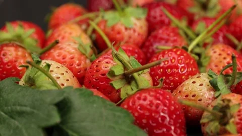 Fruit, Strawberries fruit, strawberry Stock Footage 228762732
