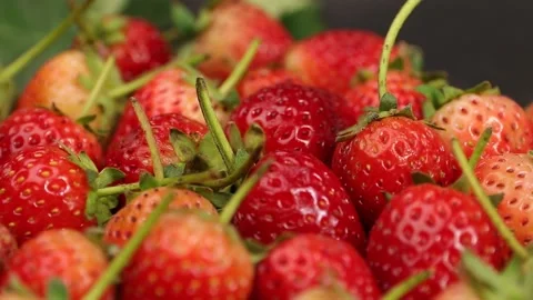 Fruit, Strawberries fruit, strawberry Stock Footage 228762735