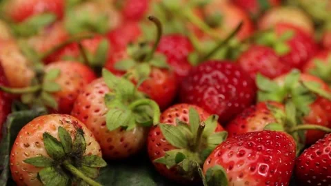 Fruit, Strawberries fruit, strawberry Video stock 228762737