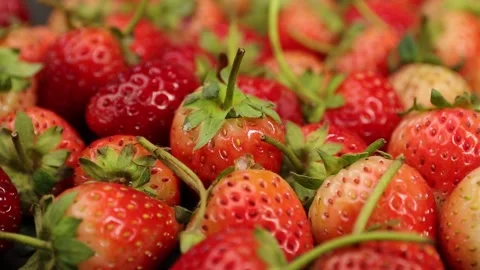 Fruit, Strawberries fruit, strawberry Stock Footage 228762741