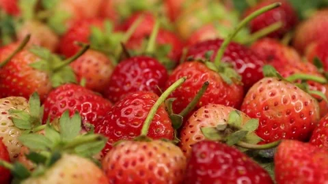 Fruit, Strawberries fruit, strawberry Video stock 228762742