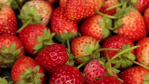 Fruit, Strawberries fruit, strawberry Stock Footage 228762743