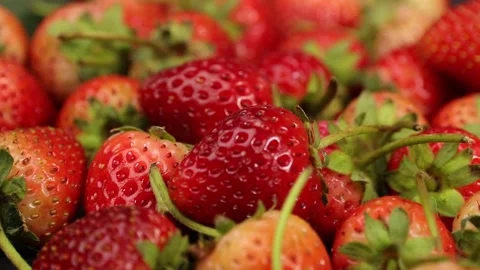 Fruit, Strawberries fruit, strawberry Video stock 228762744
