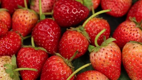 Fruit, Strawberries fruit, strawberry Video stock 228762746