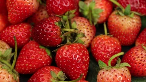 Fruit, Strawberries fruit, strawberry Stock Footage 228762751