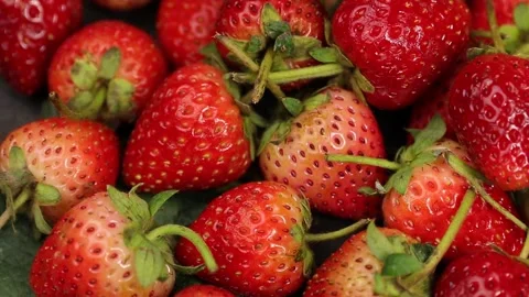 Fruit, Strawberries fruit, strawberry Stock Footage 228762753