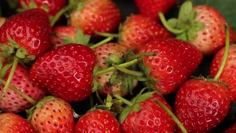 Fruit, Strawberries fruit, strawberry Stock Footage 228762756