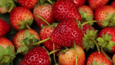 Fruit, Strawberries fruit, strawberry Stock Footage 228762757