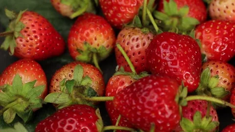 Fruit, Strawberries fruit, strawberry Stock Footage 228762758
