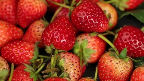 Fruit, Strawberries fruit, strawberry Stock Footage 228762760