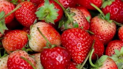 Fruit, Strawberries fruit, strawberry Stock Footage 228762762