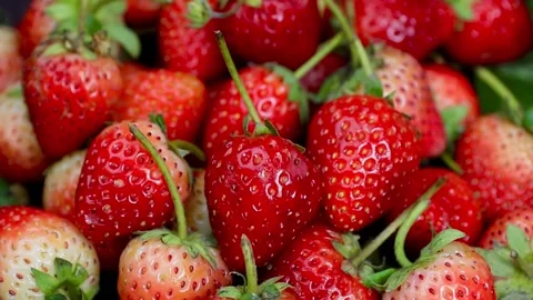 Fruit, Strawberries fruit, strawberry Stock Footage 228762763