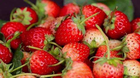 Fruit, Strawberries fruit, strawberry Video stock 228762765