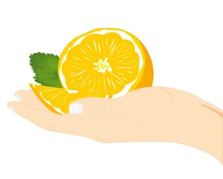 Fruit tangerine on palm Stock Illustration