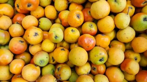 Fruit - Tejocotes 스톡 사진