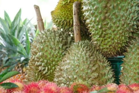 Fruit in thailand. Stock Photos