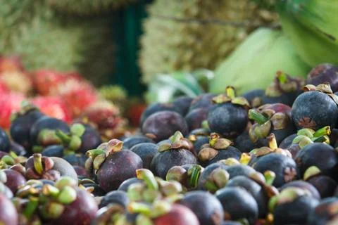 Fruit in thailand. Stock Photos