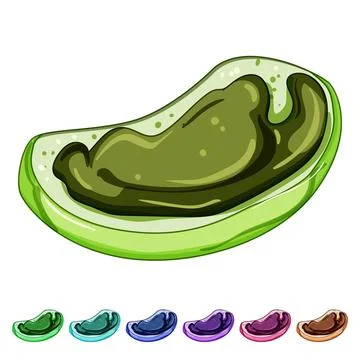Fruit toast jam cartoon vector graphic Ilustración de archivo
