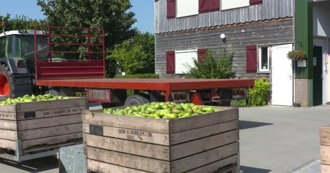 Fruit train, transport of carefully collected pears in stackable apple crates Stock Footage 70787866