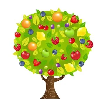 Fruit tree Stock Illustration